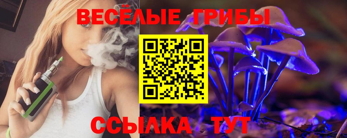 Ртищево  Псилоцибиновые грибы мухоморы  Вход с VPN 